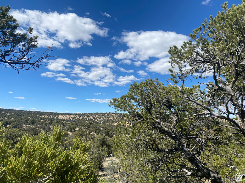 Land, Duchesne, Utah image 18