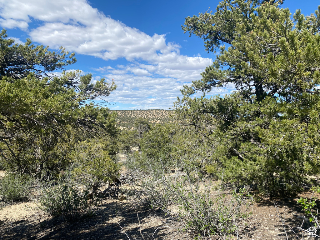 Land, Duchesne, Utah image 11