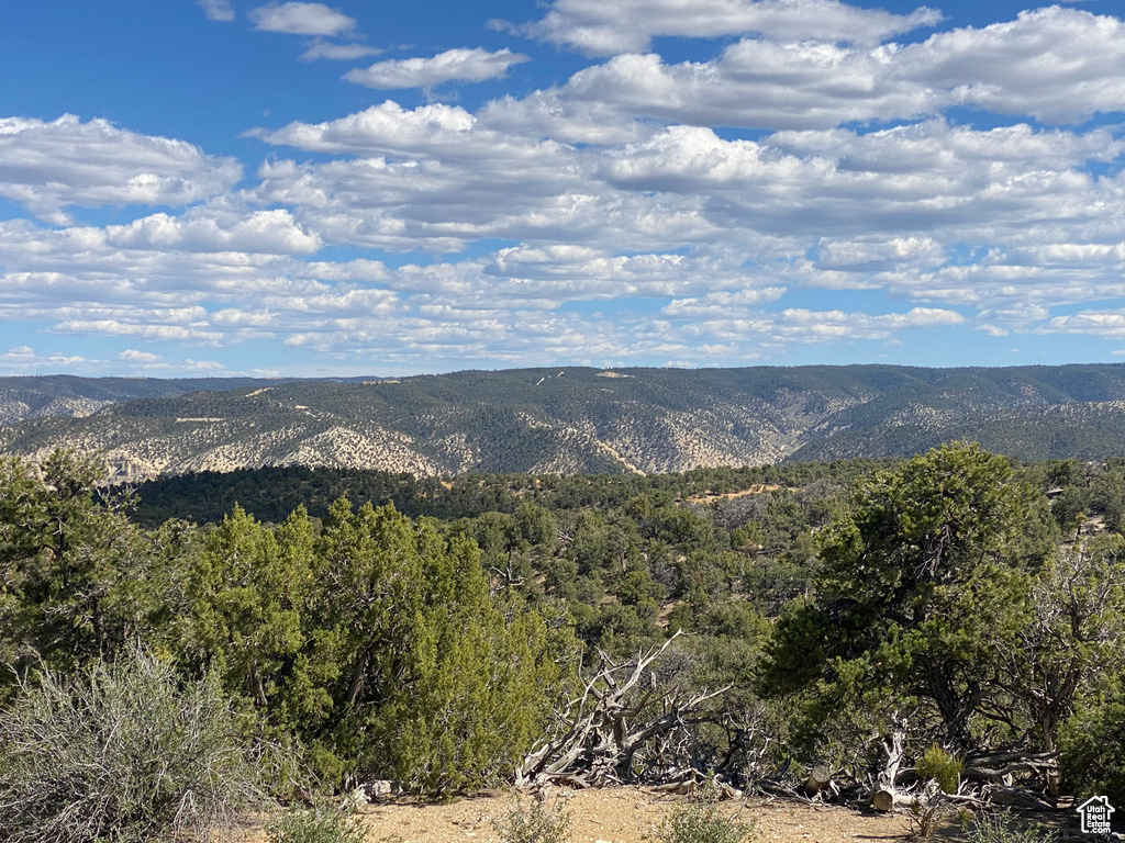 Land, Duchesne, Utah image 8