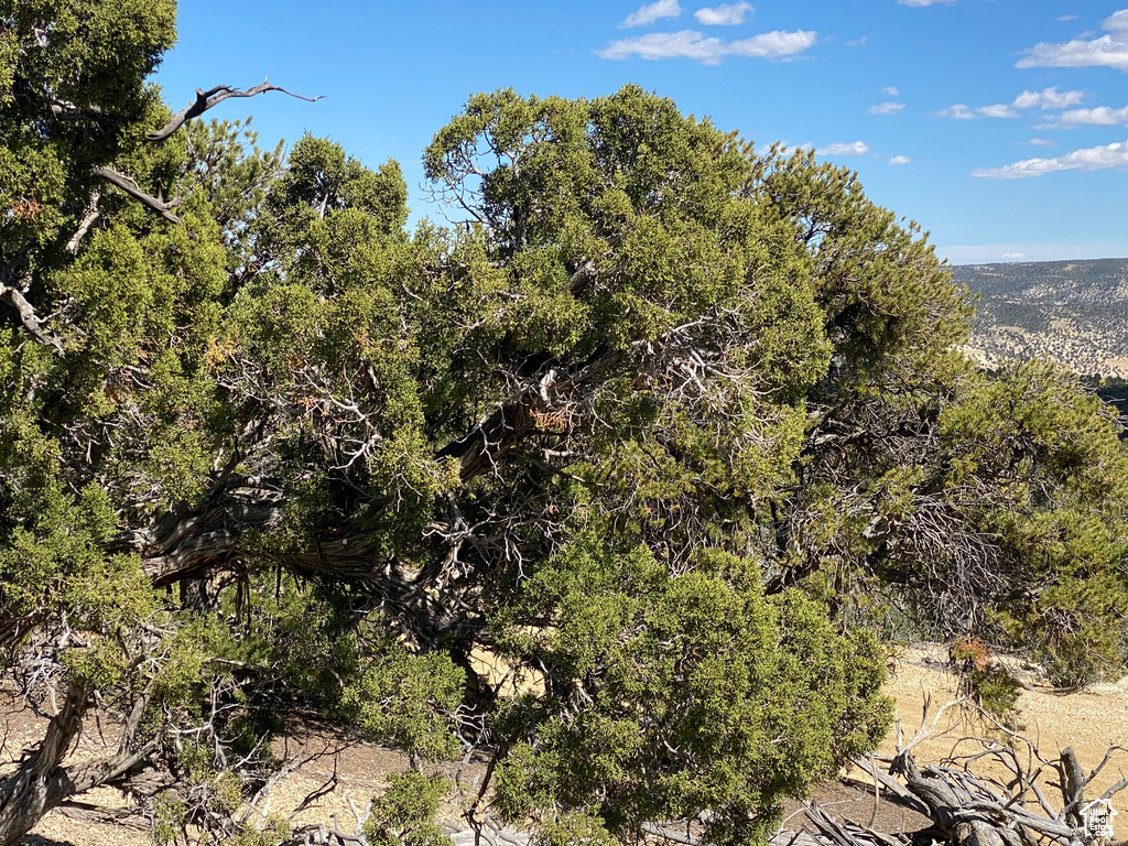 Land, Duchesne, Utah image 7