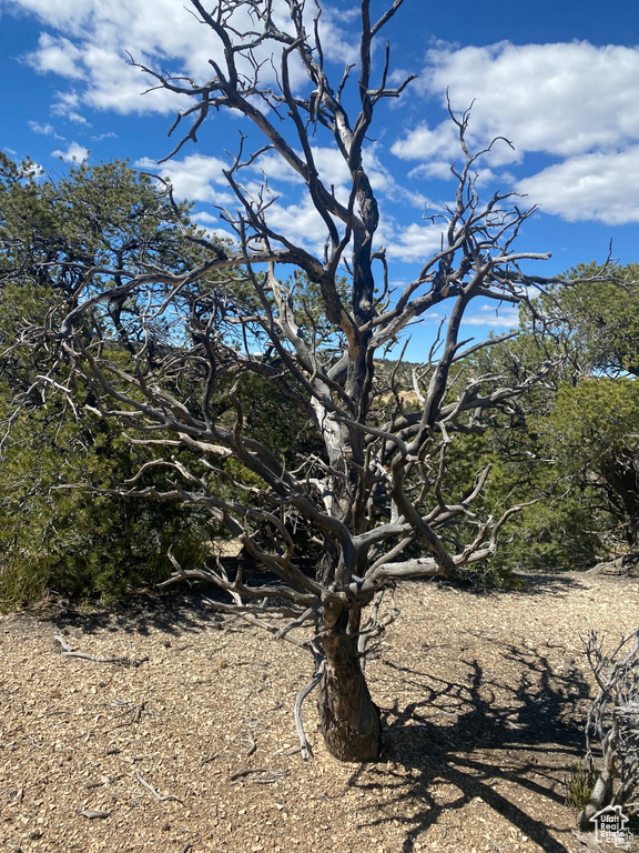 Land, Duchesne, Utah image 21