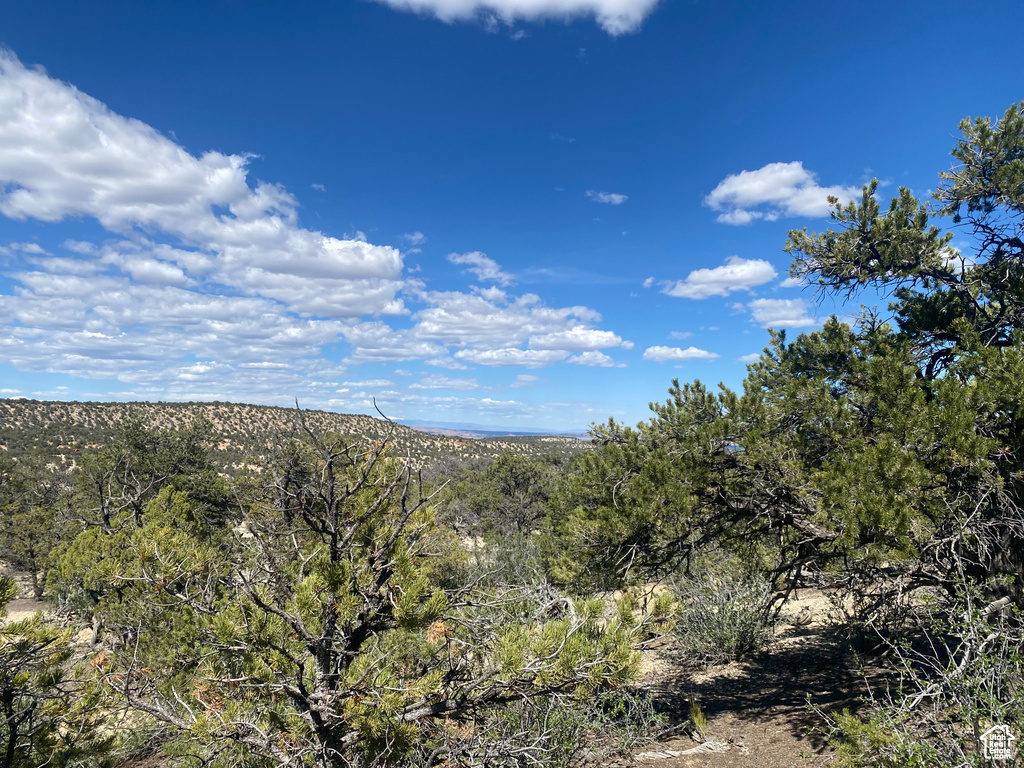 Land, Duchesne, Utah image 20