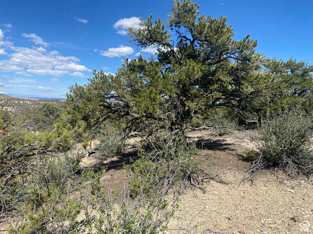 Land, Duchesne, Utah image 13