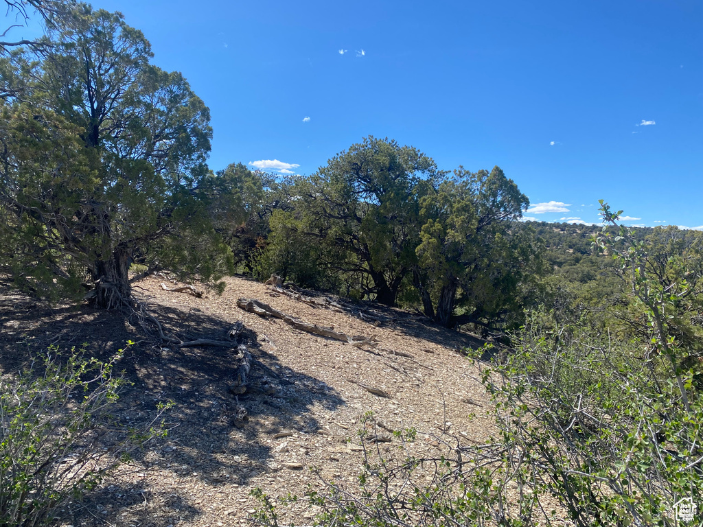 Land, Duchesne, Utah image 14