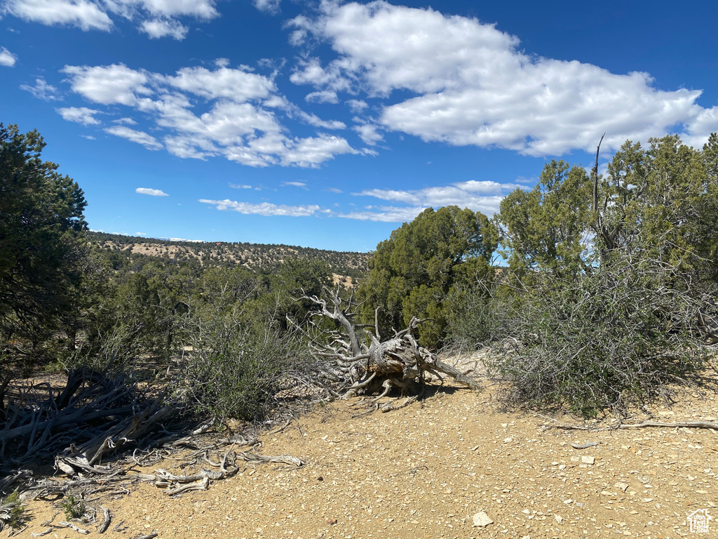 Land, Duchesne, Utah image 22