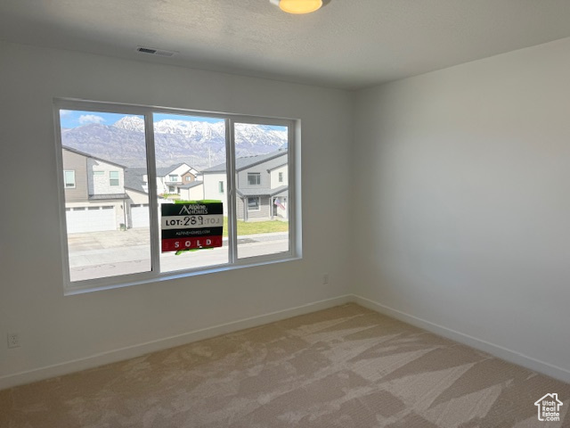 894 S 1100, American Fork, Utah image 19