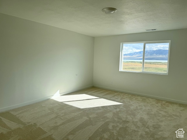 894 S 1100, American Fork, Utah image 13