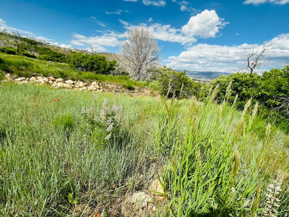OAKER HILLS - Land