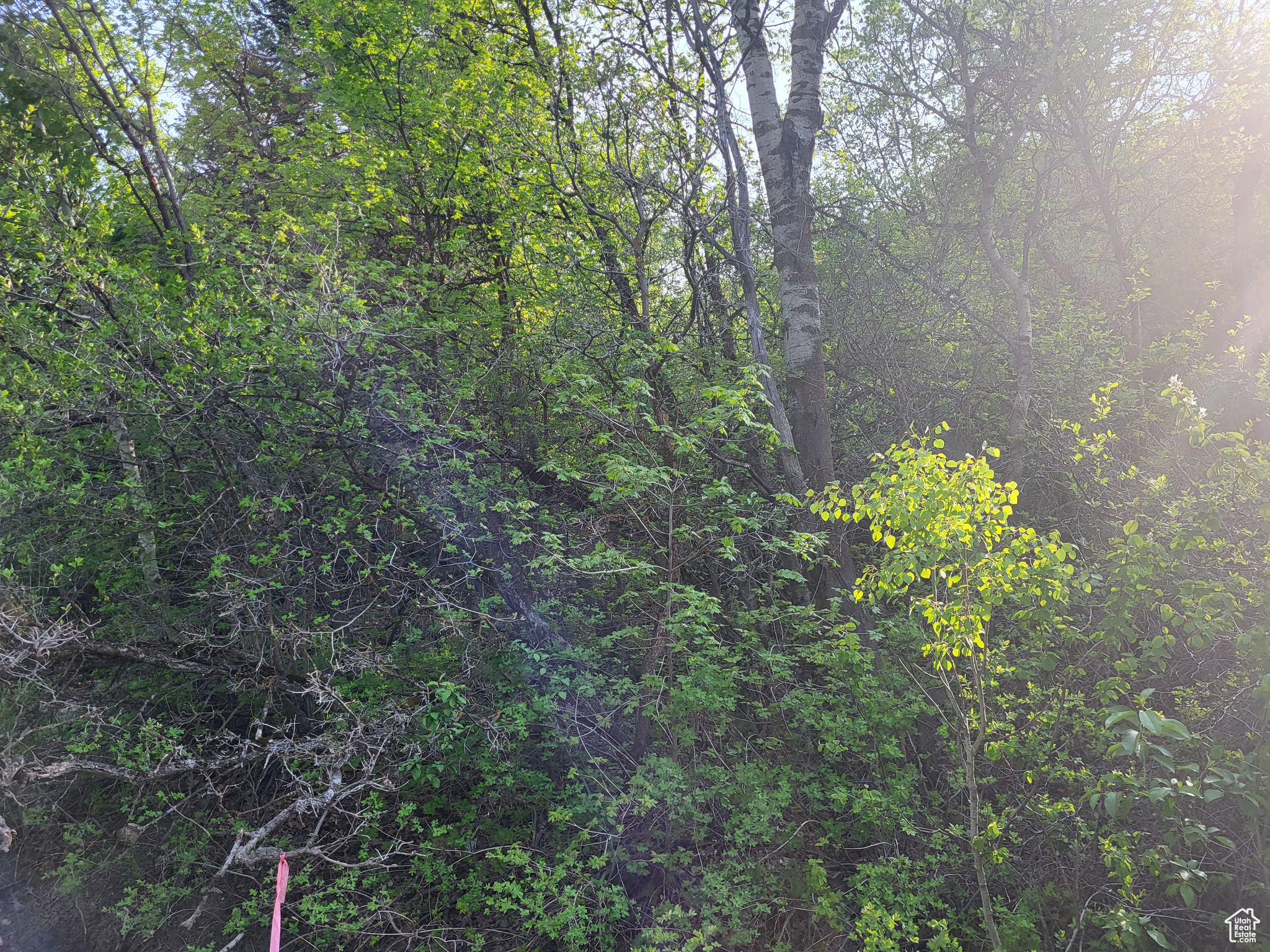 HIGHLANDS WEST SUBDI - Land