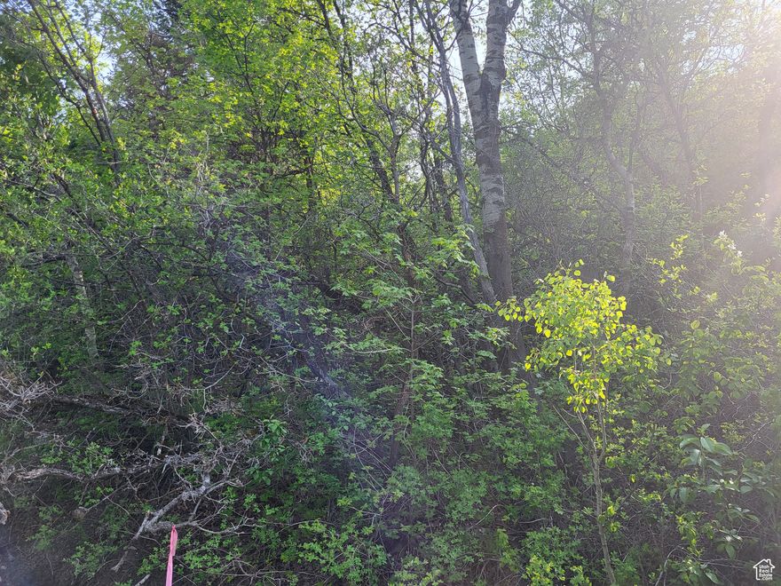 Beautiful, secluded mountain lot. The updated Geo Study work has been completed and reviewed by the county. The lot is fully wooded and has amazing charm. Close to Skiing, mountain biking, boating and freeway access. All the feeling of the mountains and comforts of being close to the city.