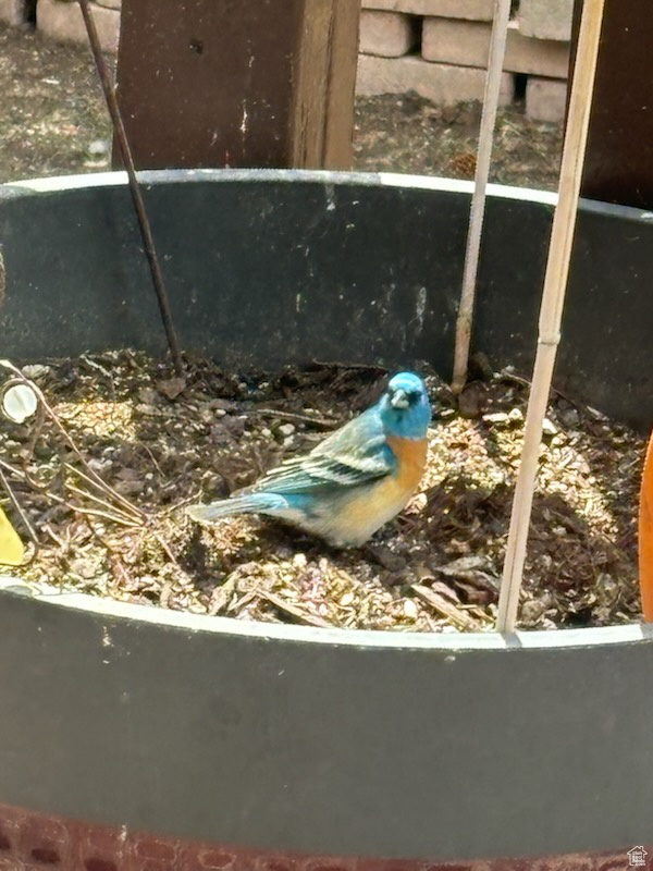 SOLDIER CREEK ESTATE - Residential