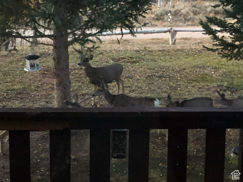 SOLDIER CREEK ESTATE - Residential