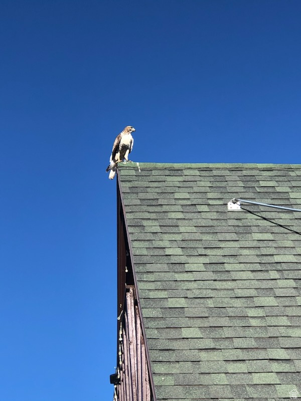 SOLDIER CREEK ESTATE - Residential
