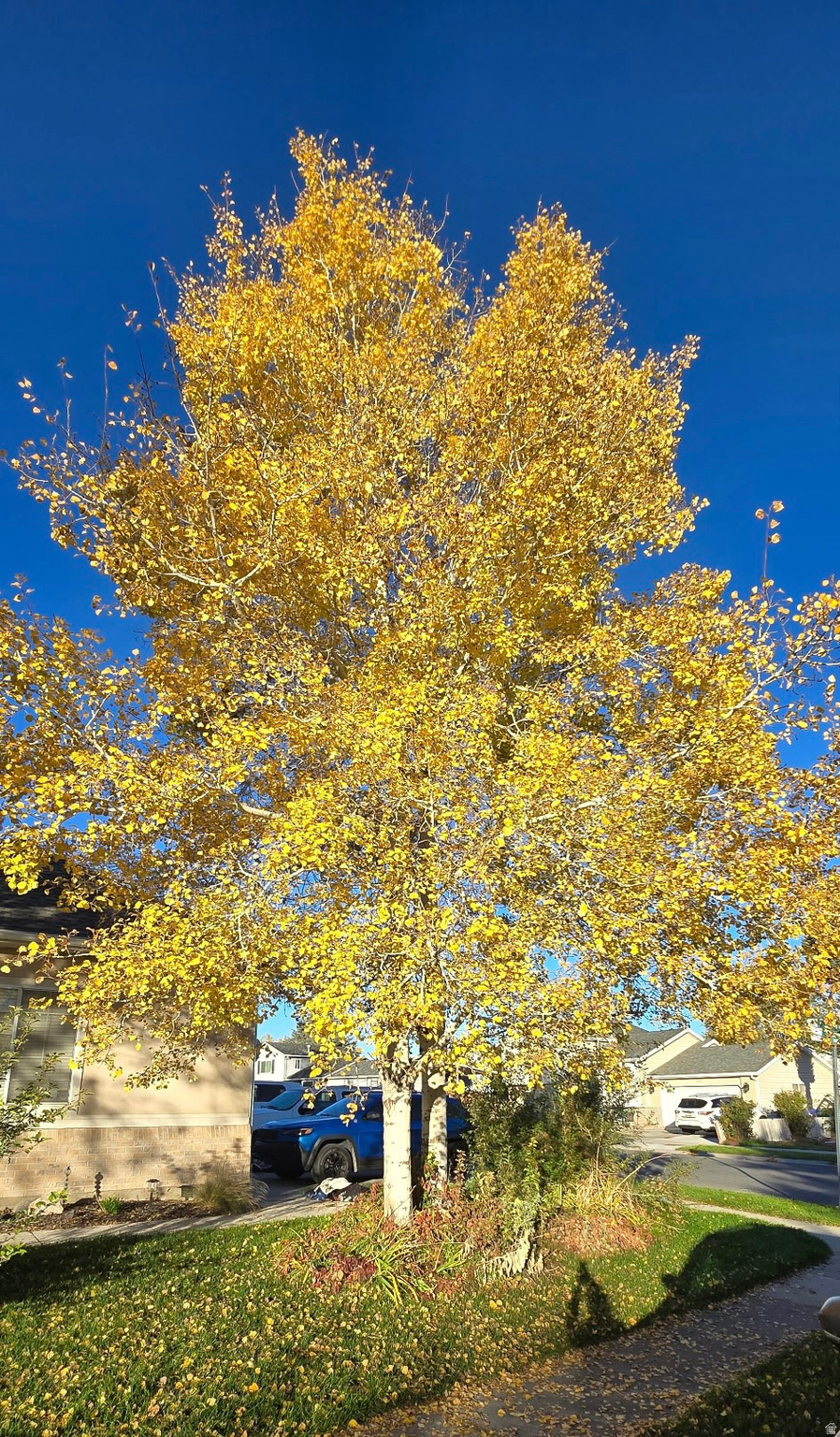 MOUNTAIN MEADOW - Residential