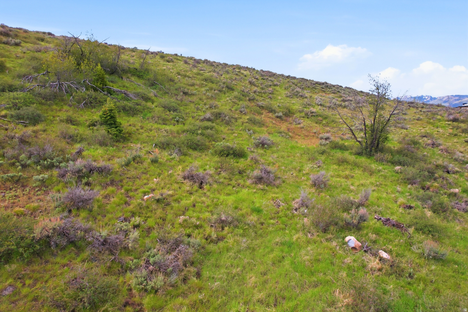 ELK RIDGE BLUFFS - Land
