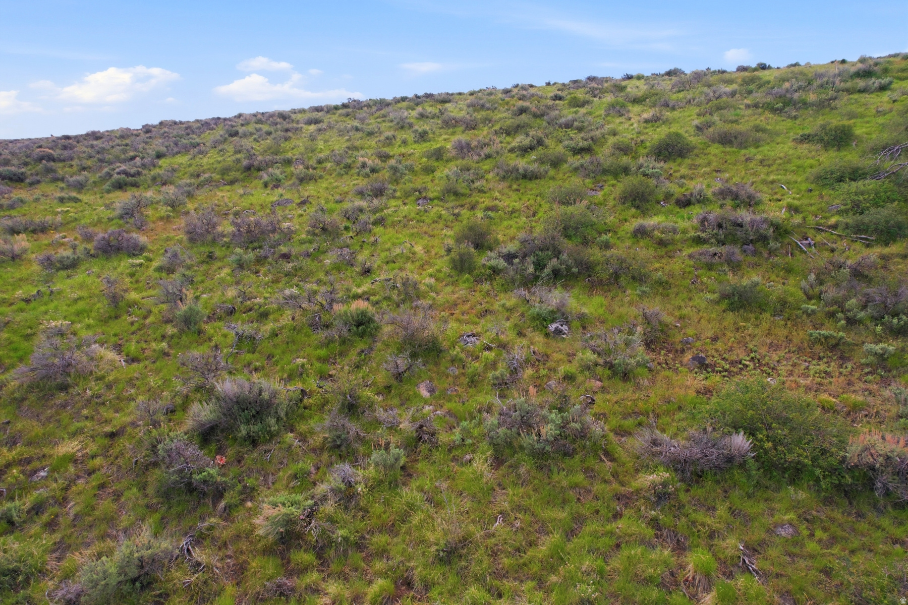 ELK RIDGE BLUFFS - Land