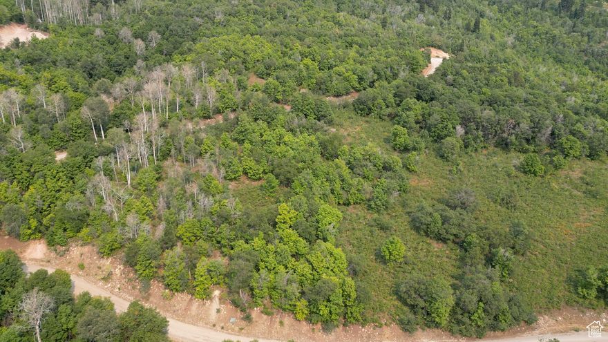Build your dream cabin on this beautiful 3-acre lot in Legacy Mountain, a gated community offering privacy, security, and unmatched mountain living. With power and water at the road, getting started is easy. The property is sprinkled with aspens, maples, and oaks, creating a colorful backdrop for the breathtaking sunsets over Mount Nebo. Legacy Mountain is all about lifestyle-spend winters snowmobiling, sledding, and snowboarding right from your doorstep, and enjoy 4-wheeling, hiking, and mountain biking all summer long. Wildlife is plentiful, and nearby you'll find fishing, hunting, golf, and swimming. Zoned residential, the community maintains a cabin-focused environment with all lots fully improved and ready to build. Utilities include electrical service through Mount Pleasant City and water from Legacy Sweetwater, with propane commonly used for heating. Escape the hustle and create your mountain retreat where adventure and serenity meet.