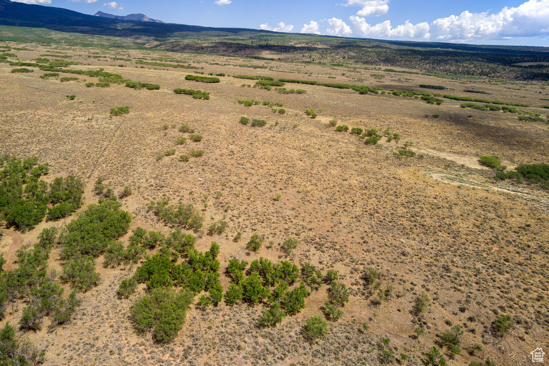 113 E Deerk Creek Rd #14, La Sal, Utah image 11