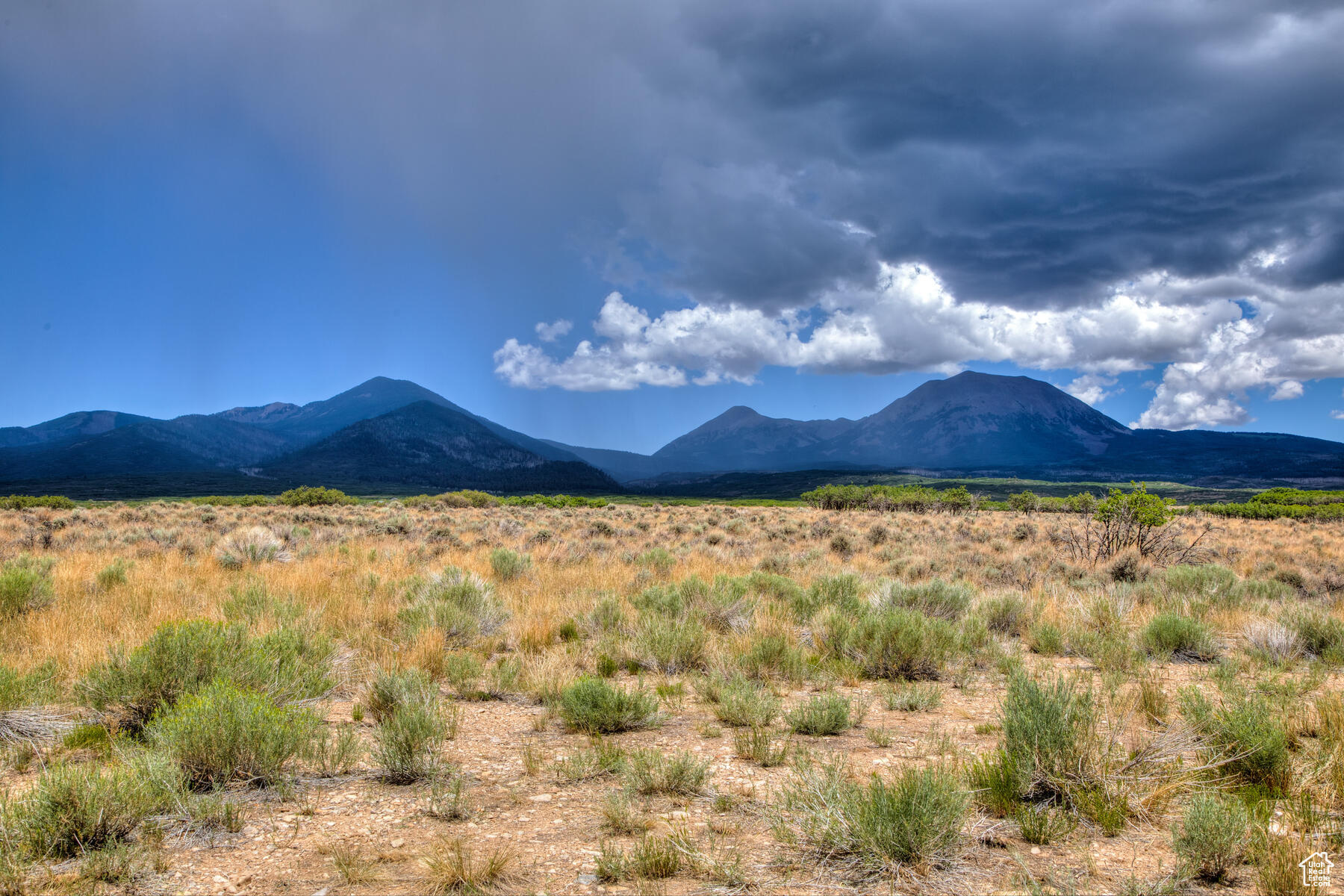 113 E Deerk Creek Rd #14, La Sal, Utah image 4