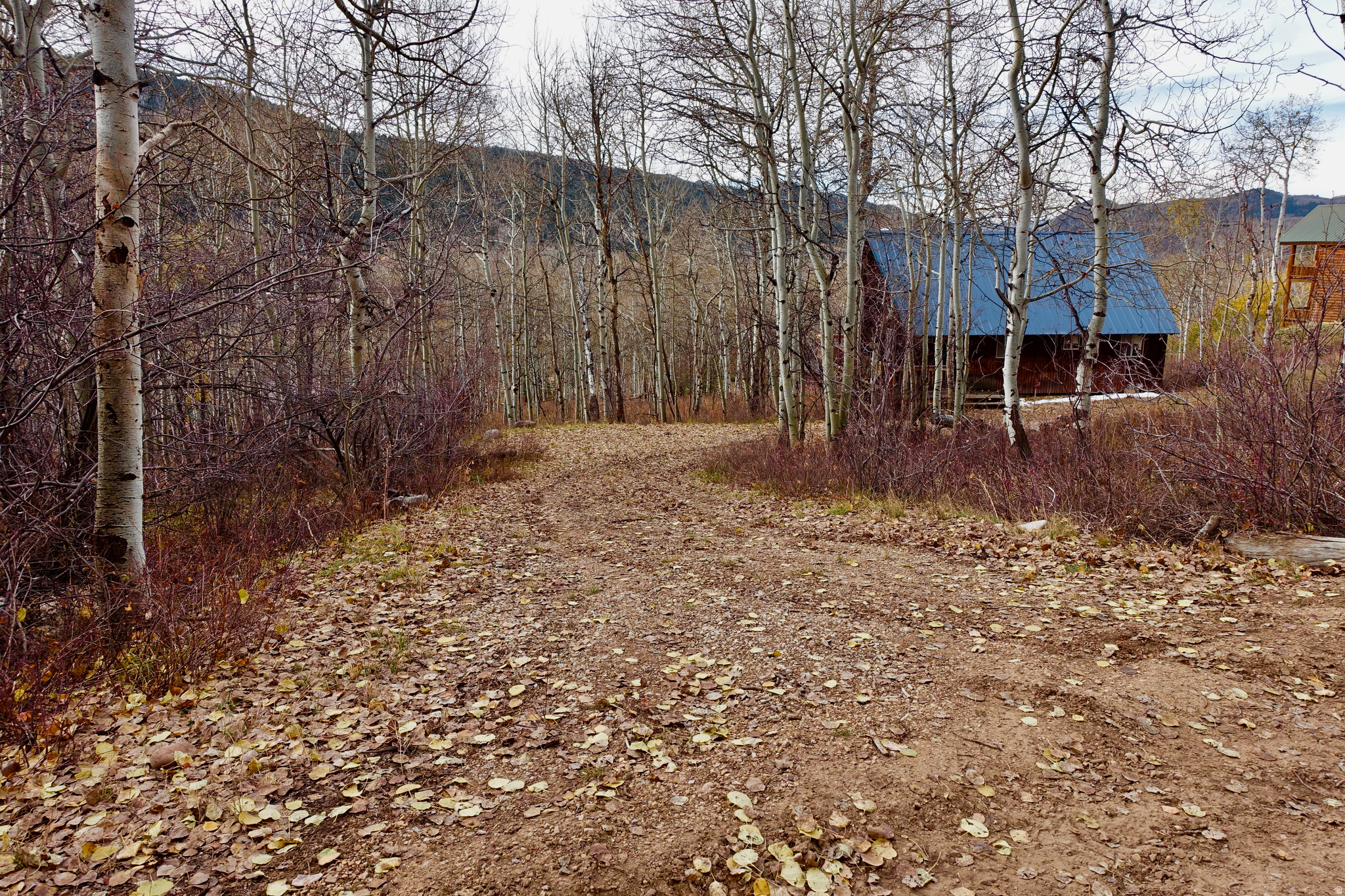 SPRINGS SUBDIVISION - Residential