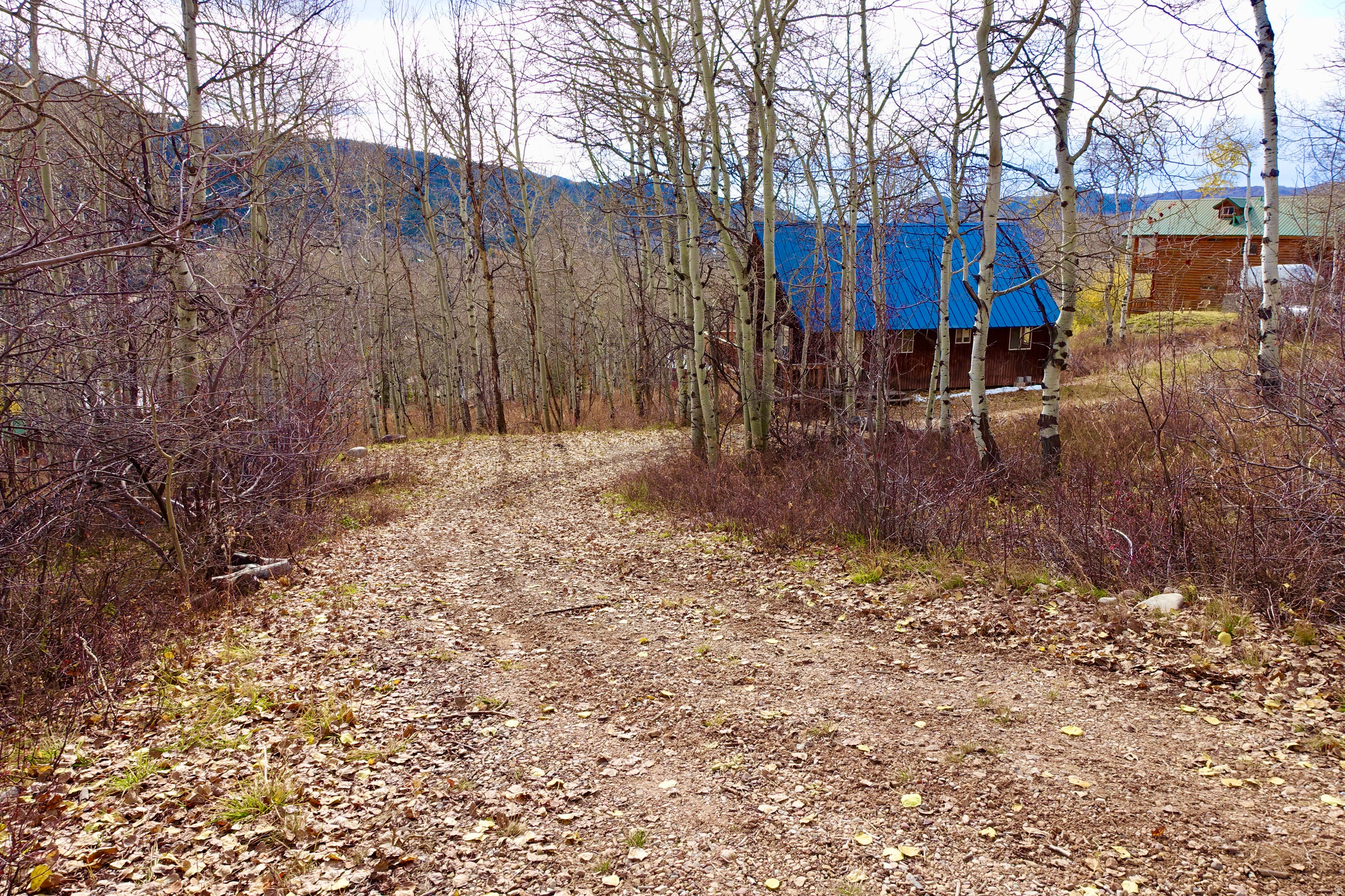 SPRINGS SUBDIVISION - Residential