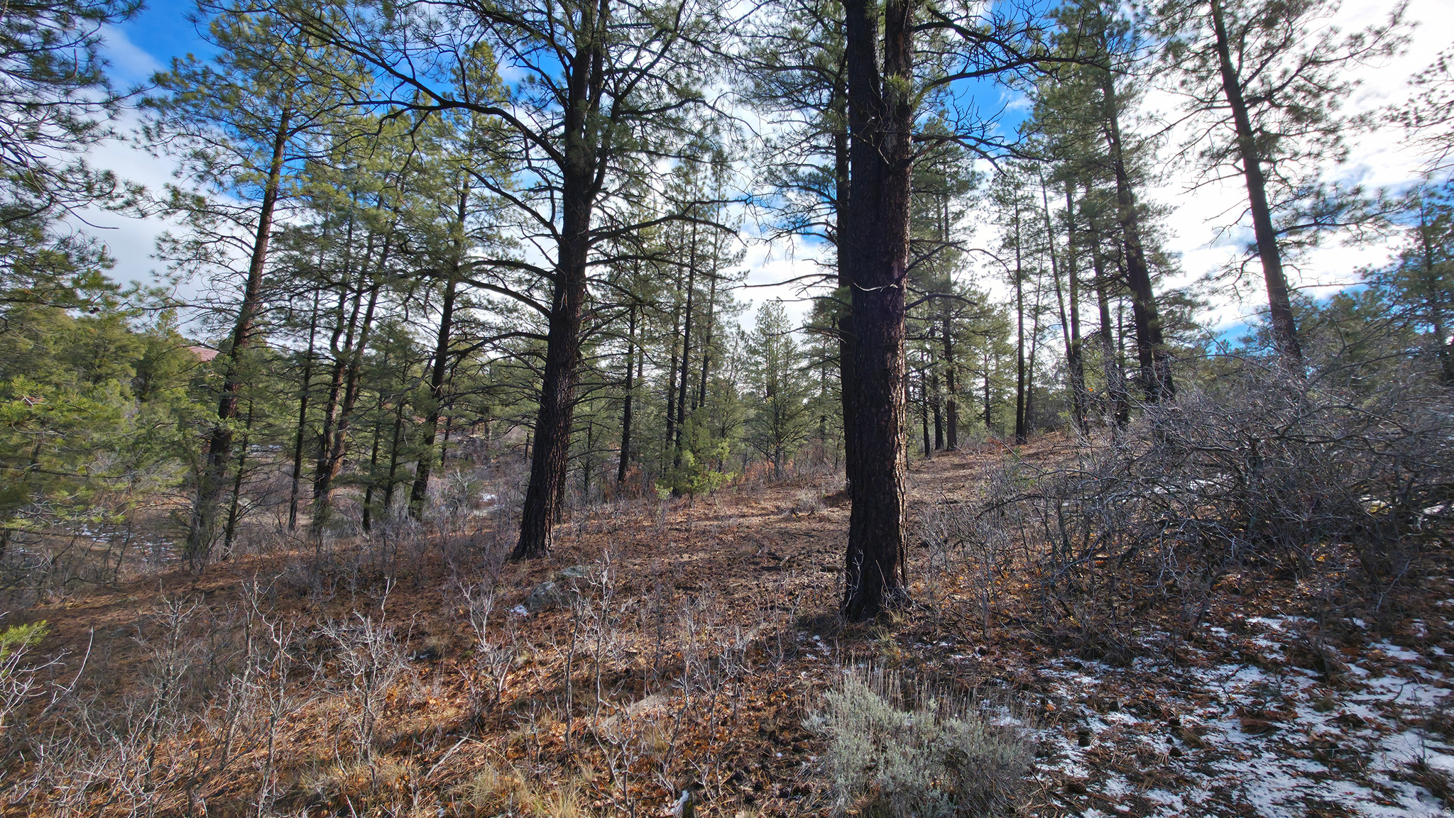 WOODLANDS AT LA SAL SUBDIVISION - Land