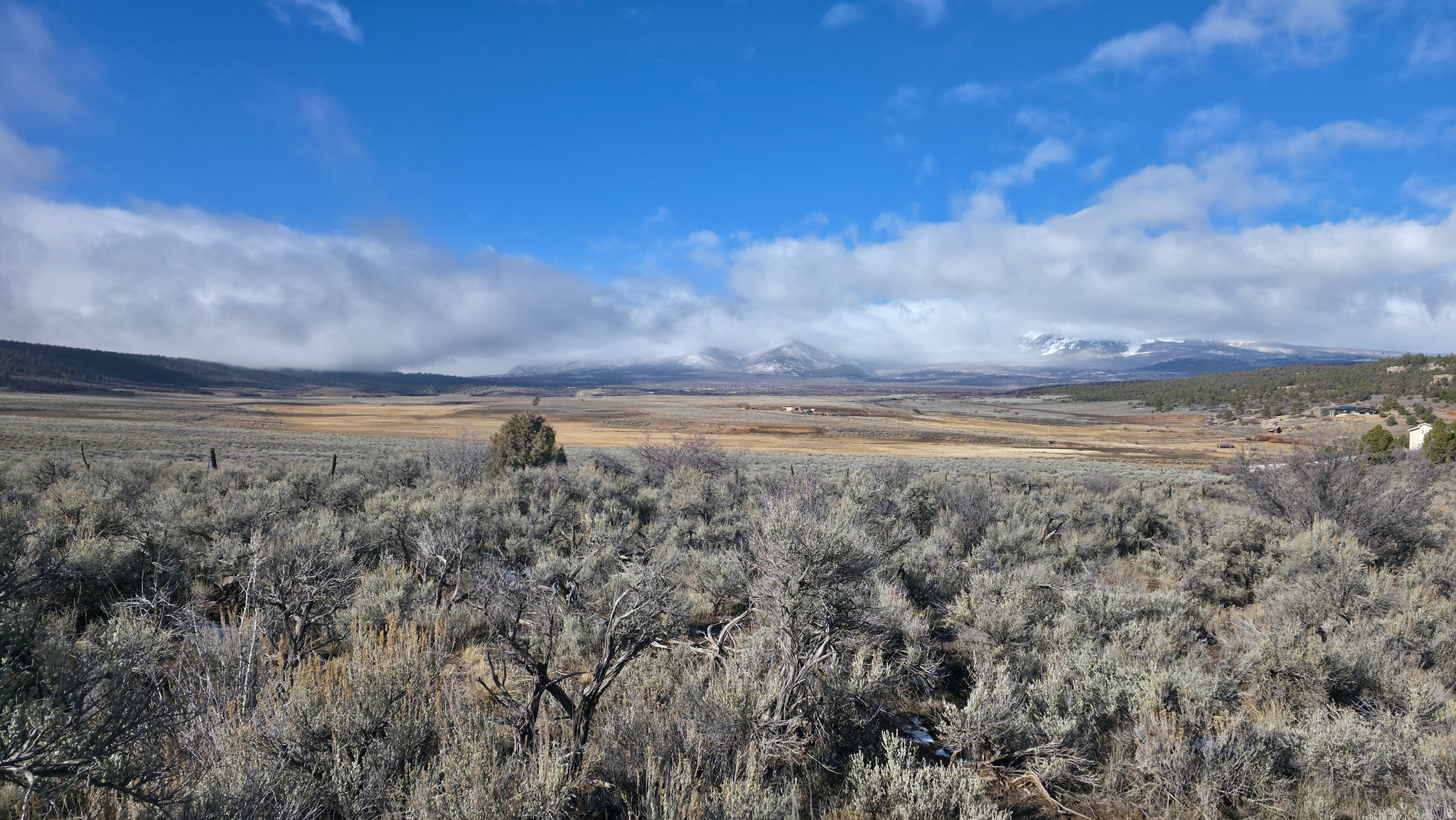 WOODLANDS AT LA SAL SUBDIVISION - Land