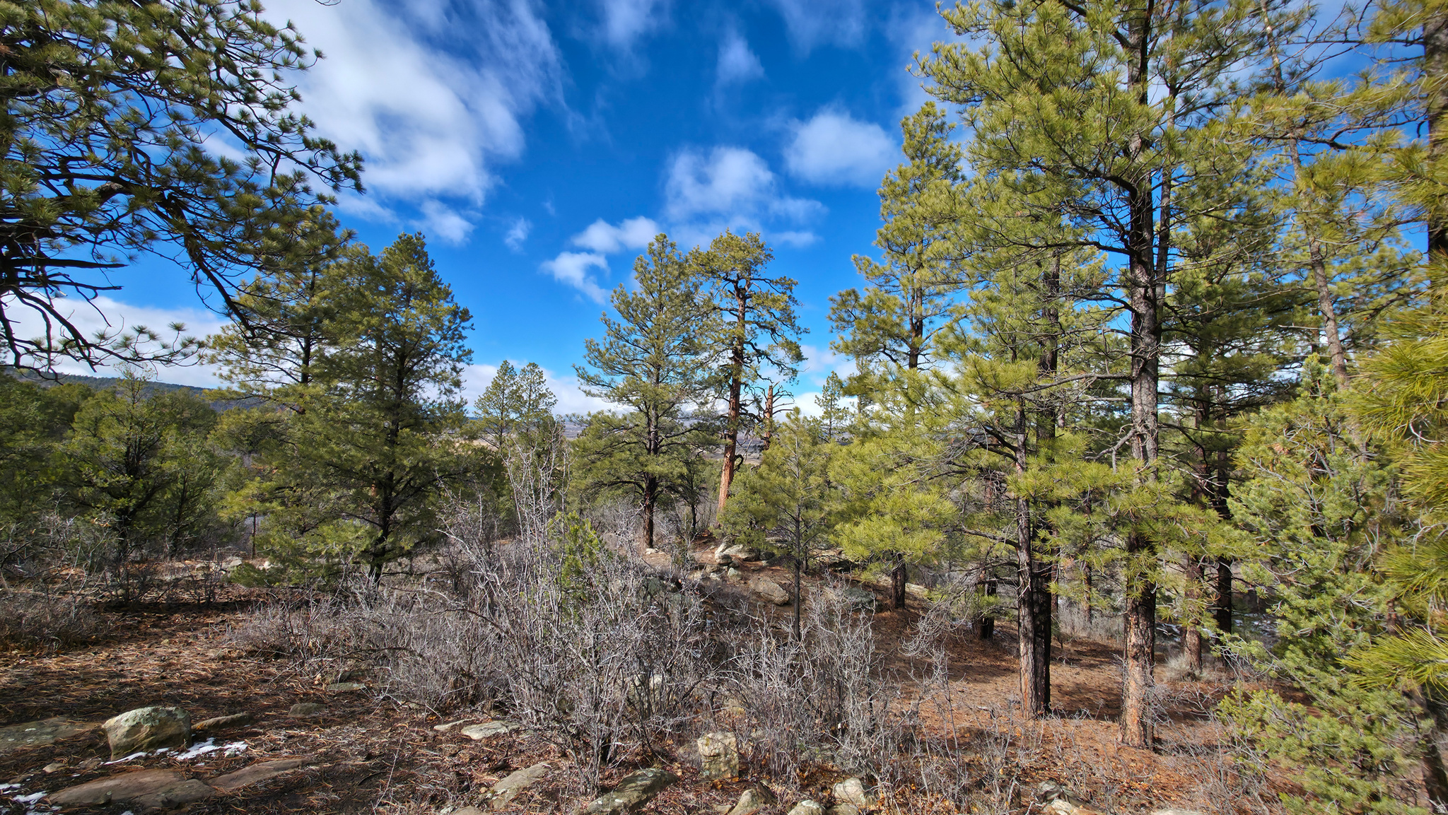 WOODLANDS AT LA SAL SUBDIVISION - Land