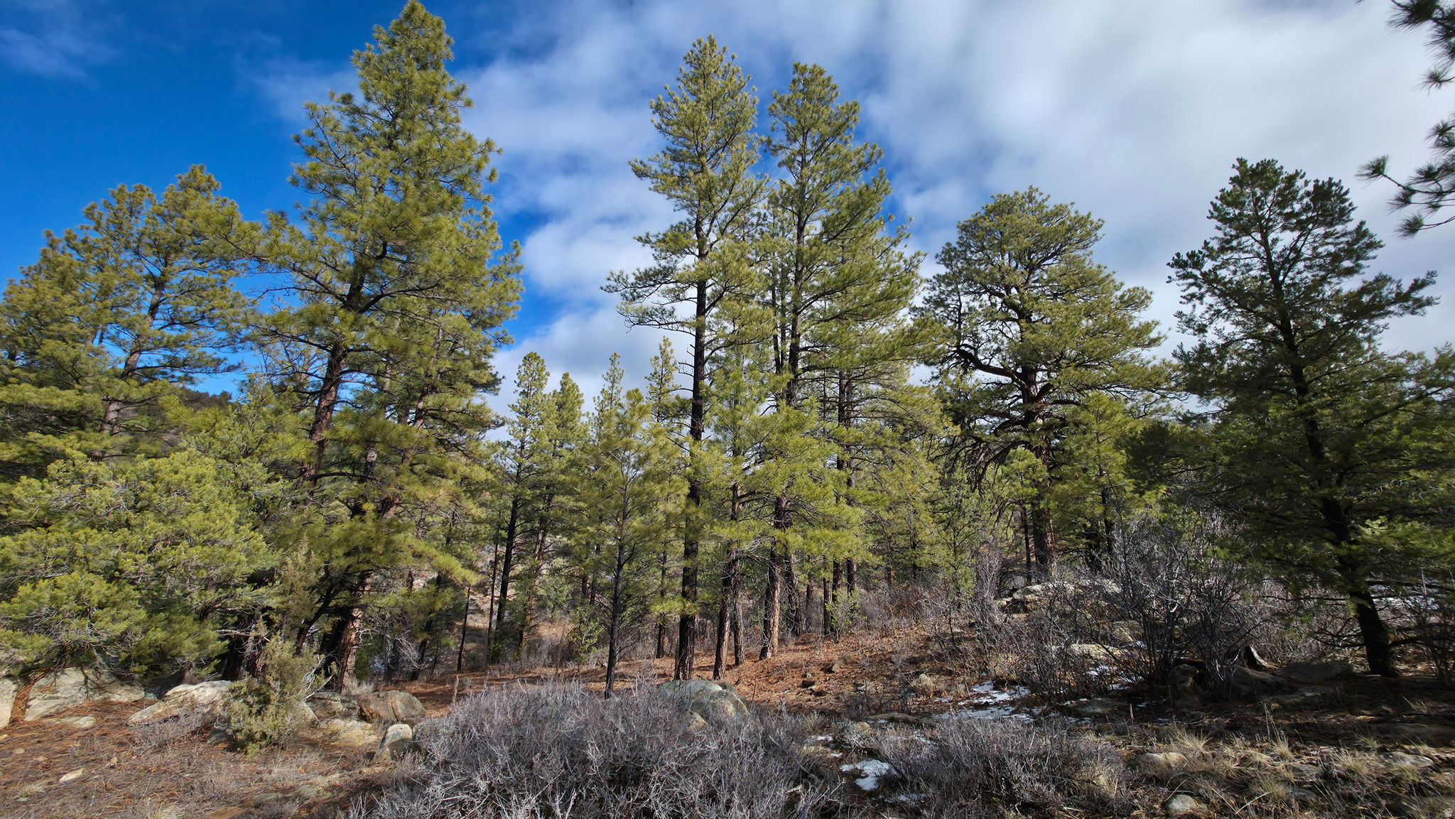 WOODLANDS AT LA SAL SUBDIVISION - Land