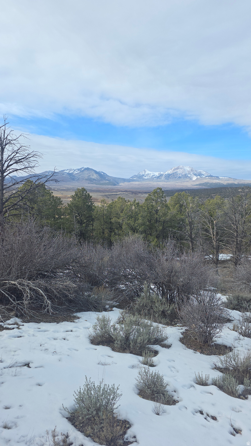 WOODLANDS AT LA SAL SUBDIVISION - Land