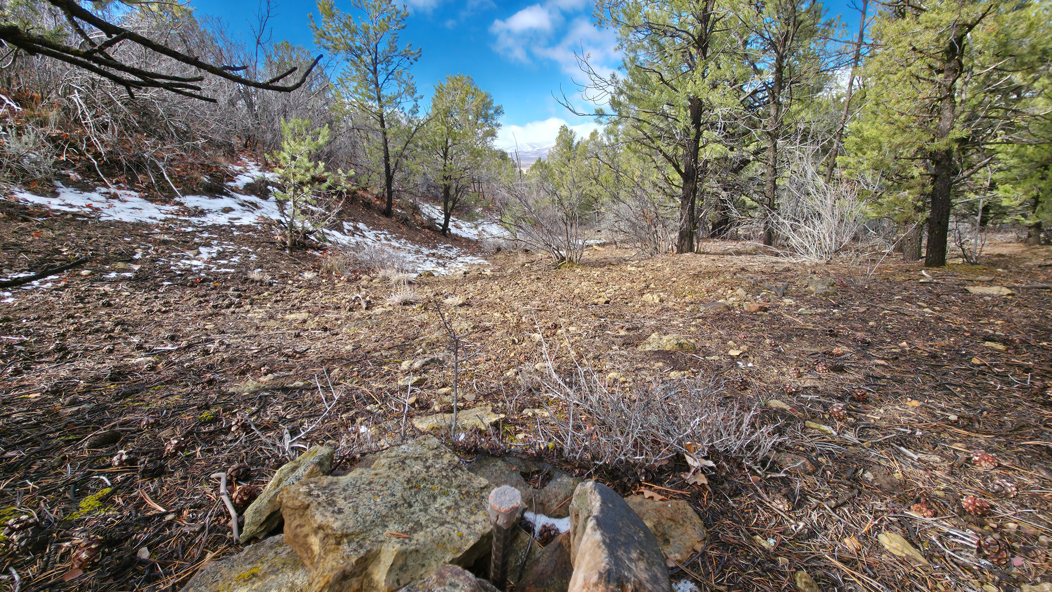 WOODLANDS AT LA SAL SUBDIVISION - Land