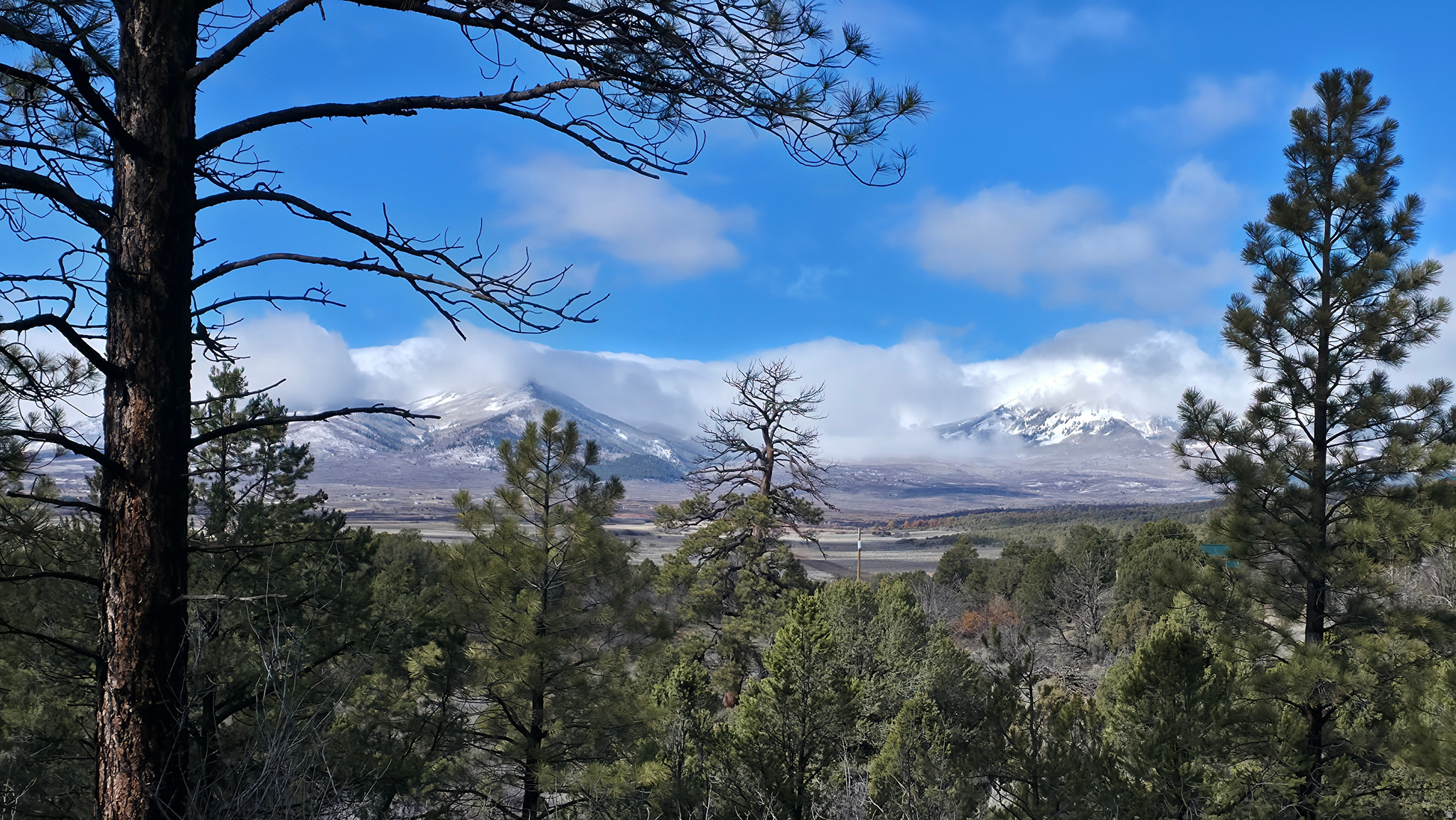 WOODLANDS AT LA SAL SUBDIVISION - Land