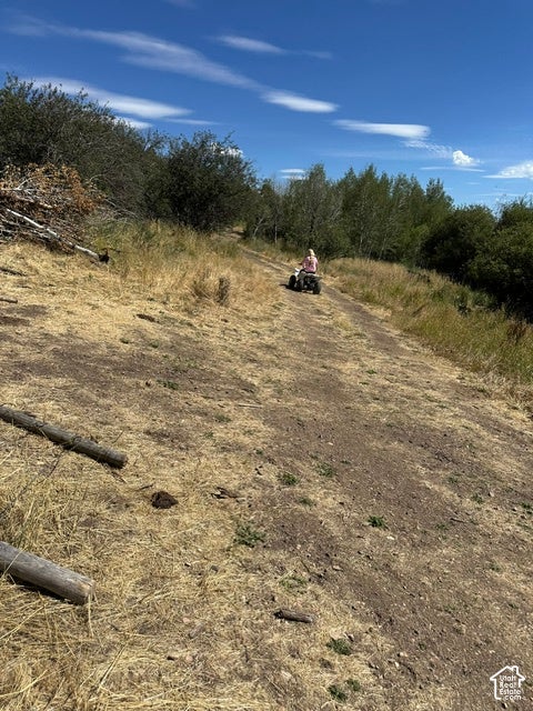 Photo of 636 CEMETERY RD, Dingle, ID 83233 (MLS # 2189471)