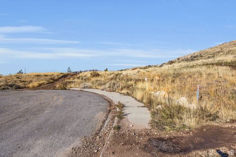 Tiny photo for 591 N PFEIFFERHORN DR, Alpine, UT 84004 (MLS # 2086364)