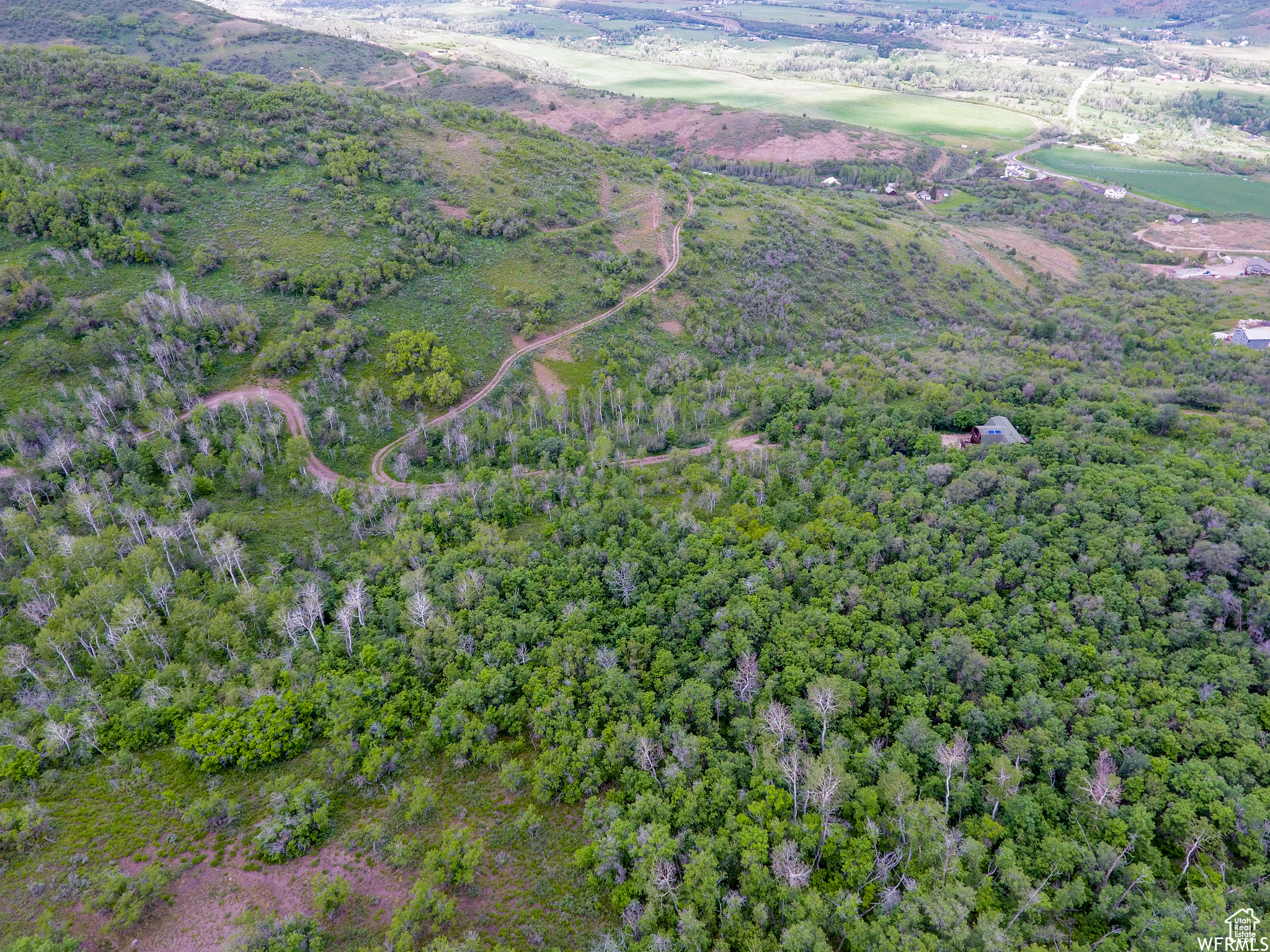 WOODLAND - Land