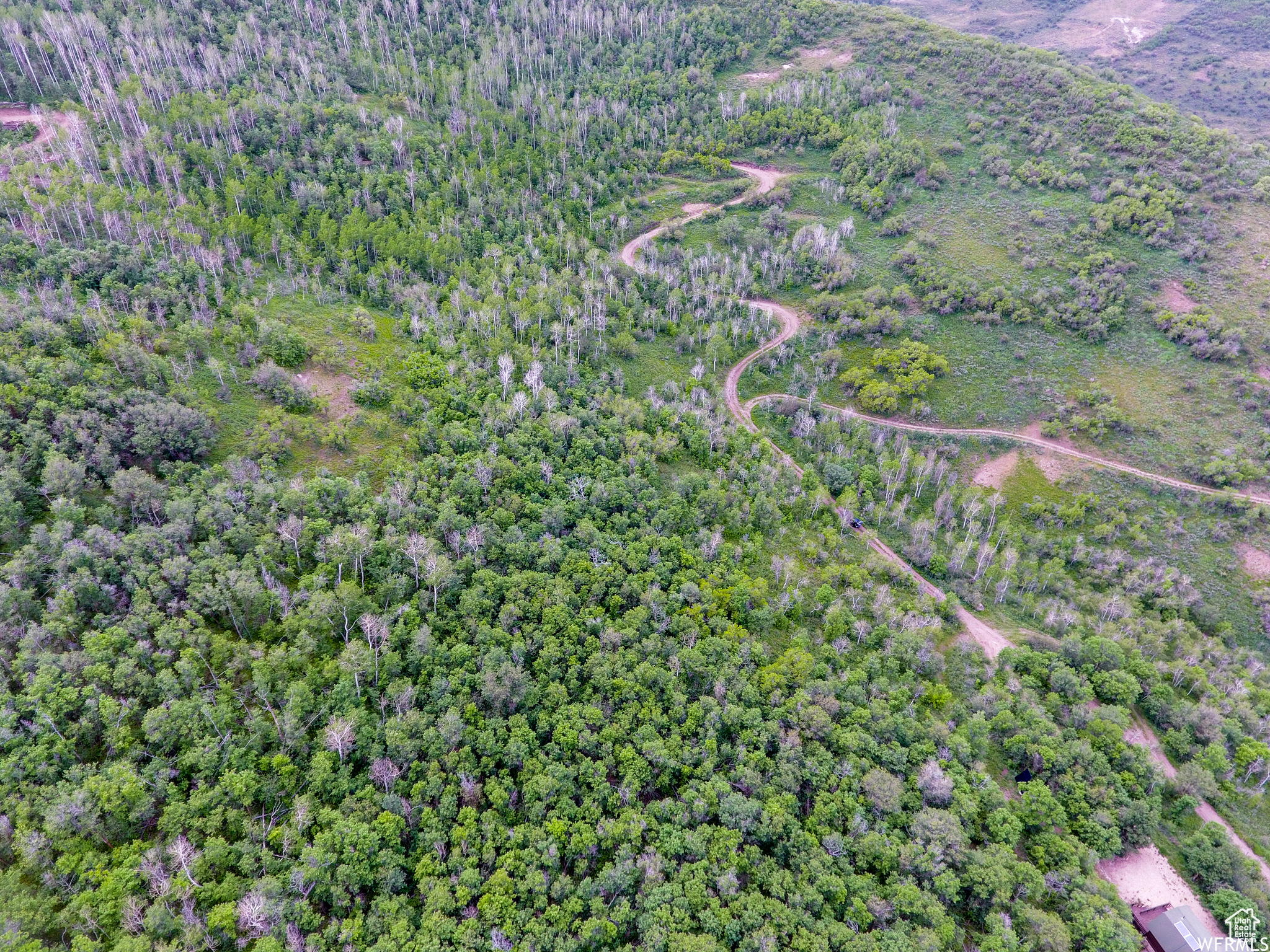 WOODLAND - Land