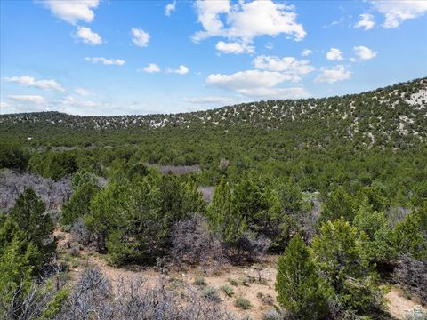 Vacant Land For Sale - Land<br/> Sanpete County, Mayfield, UT 84643