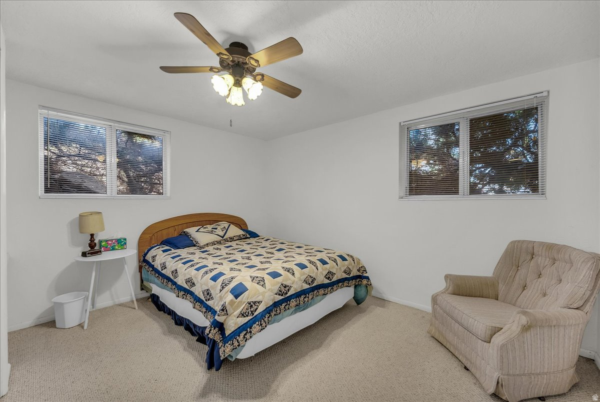 BUENA VISTA - Residential