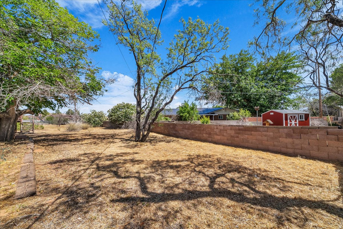 BUENA VISTA - Residential