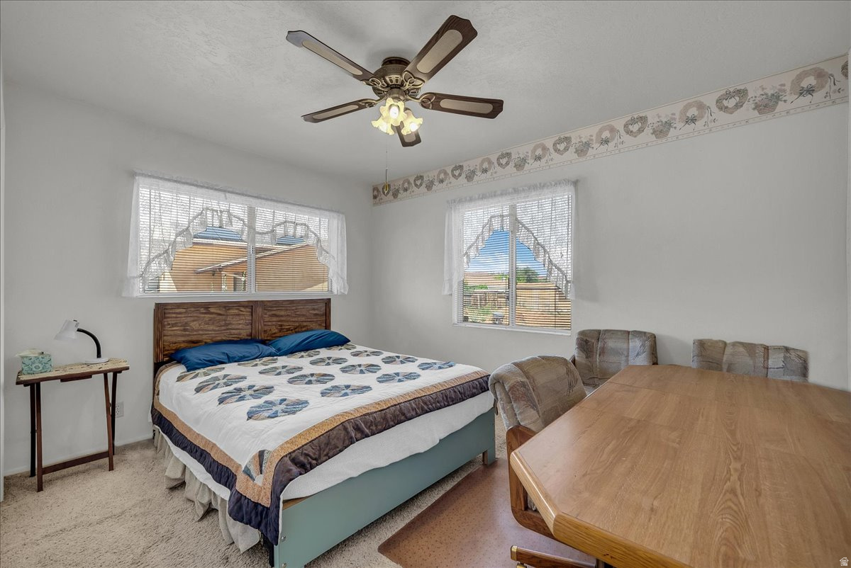 BUENA VISTA - Residential