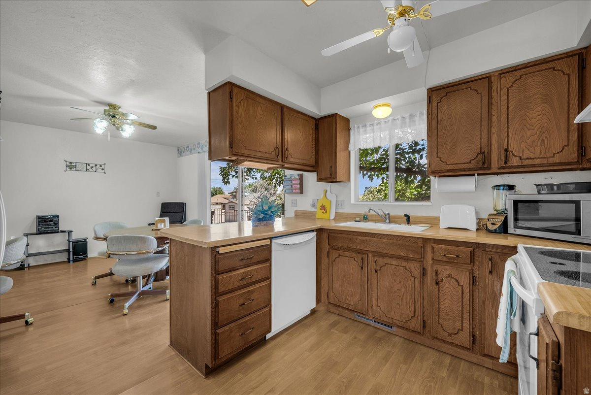 BUENA VISTA - Residential