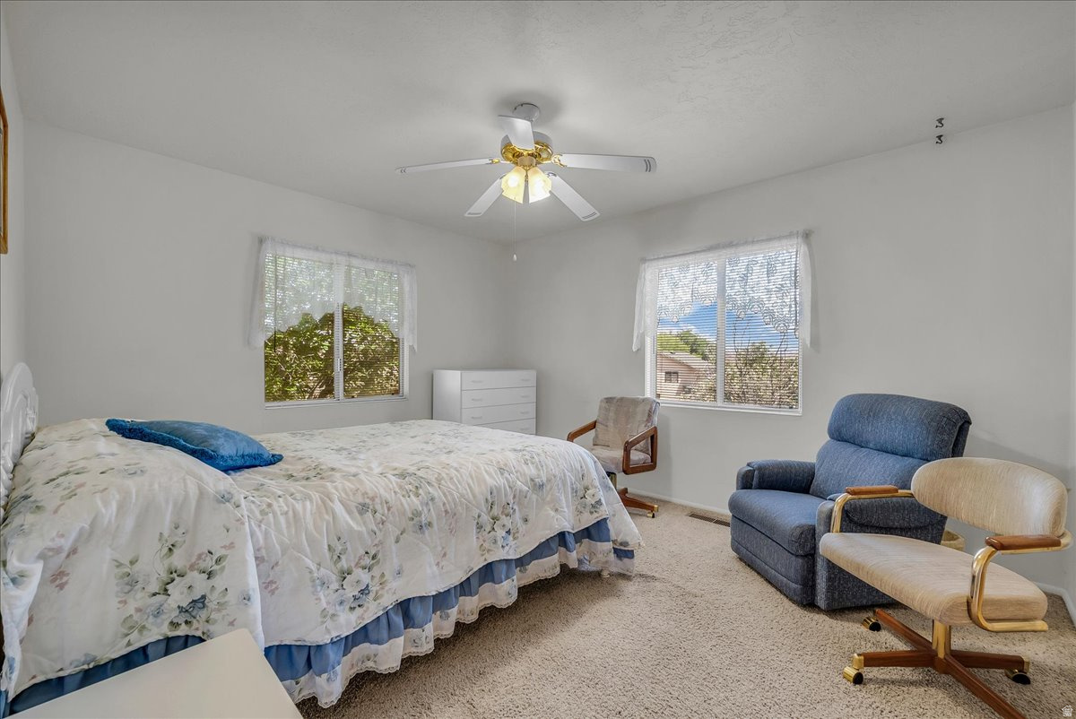 BUENA VISTA - Residential