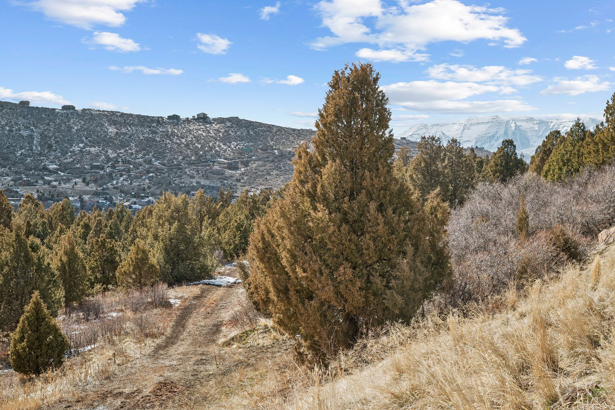 ELK MEADOWS SUBDIVISION - Land