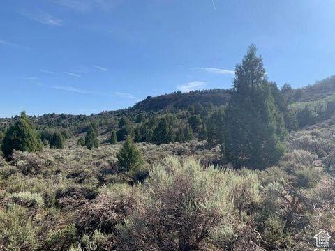 Vacant Land For Sale - 38 S 6 #13<br/> Alton, UT 84710