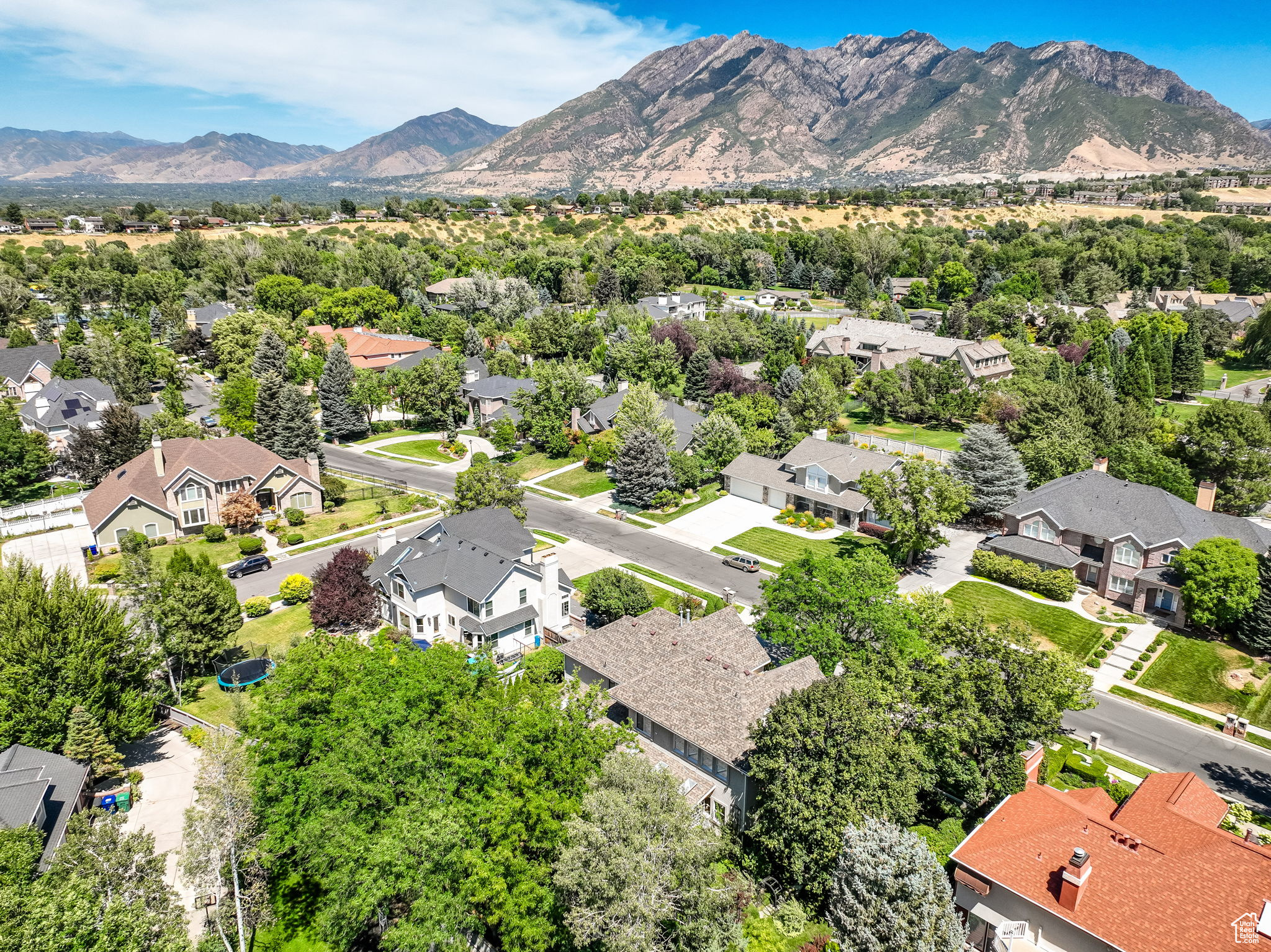THE DOWNS - Residential