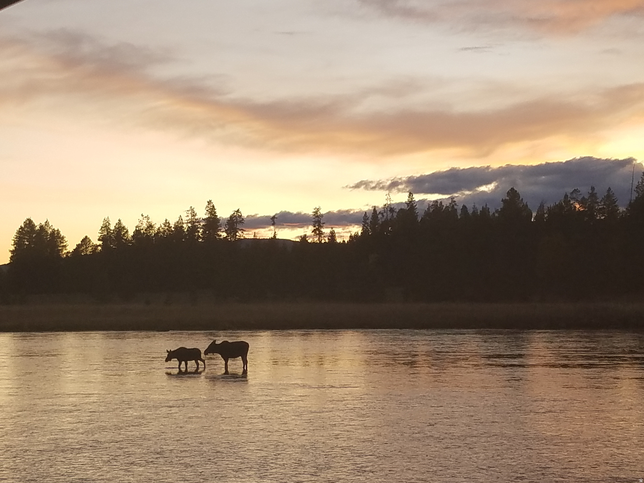 SHOTGUN VILLAGE EST - Residential