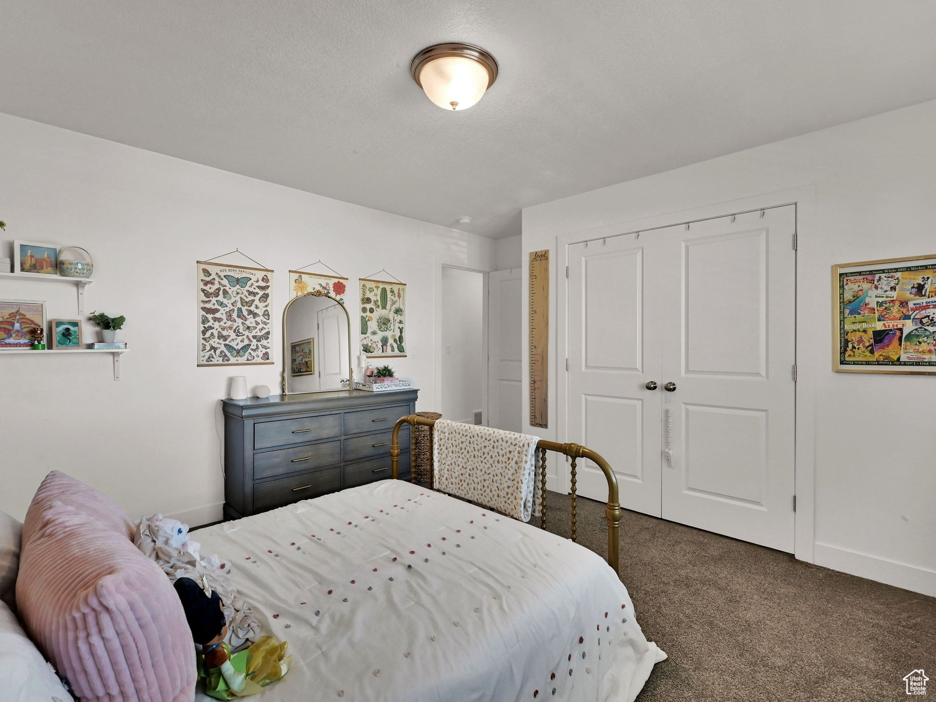 ELK MOUNTAIN SUBDIVISION - Residential