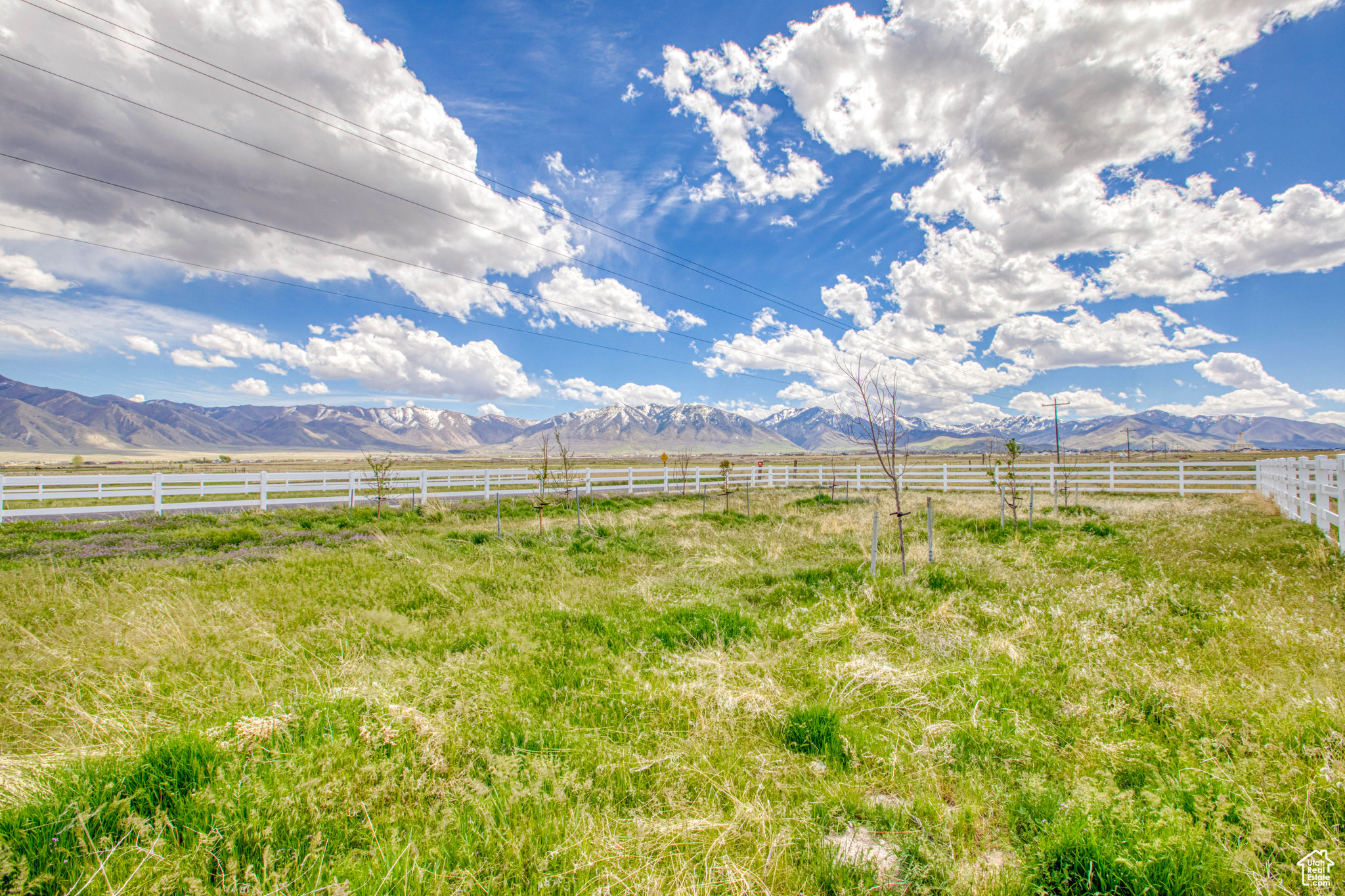 SILVER SPUR RANCHETT - Residential