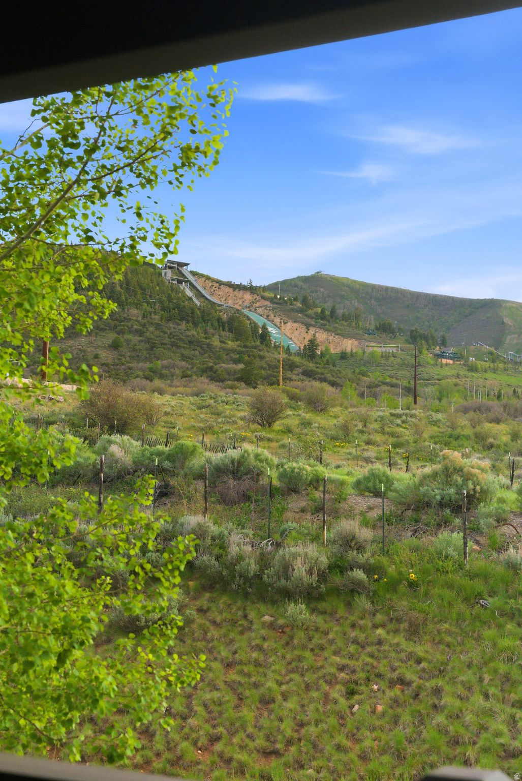 BEAR HOLLOW VILLAGE - Residential