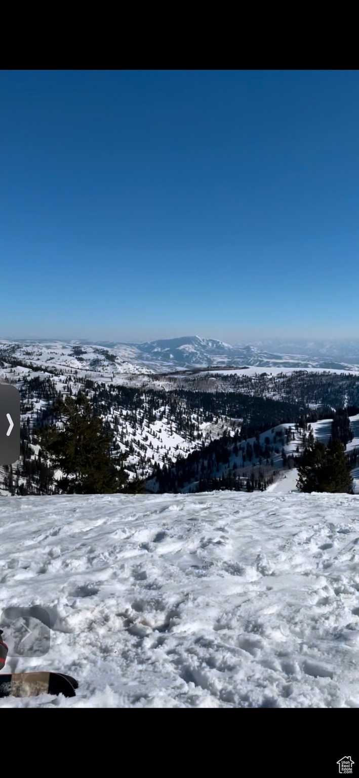 POWDER MOUNTAIN WEST - Land